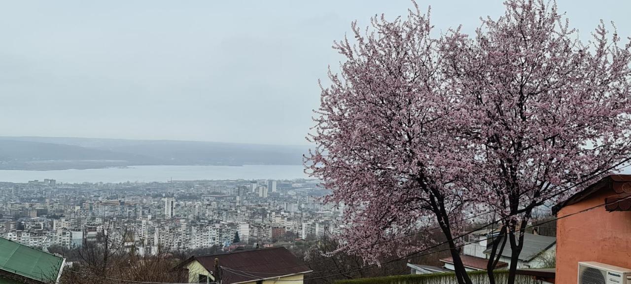 Infinity Varna Sky Otel Dış mekan fotoğraf