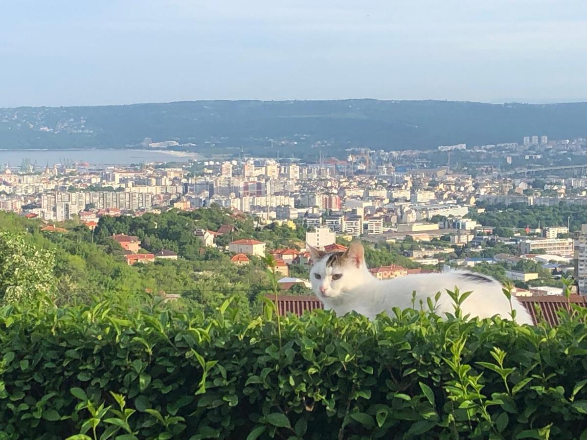 Infinity Varna Sky Otel Dış mekan fotoğraf